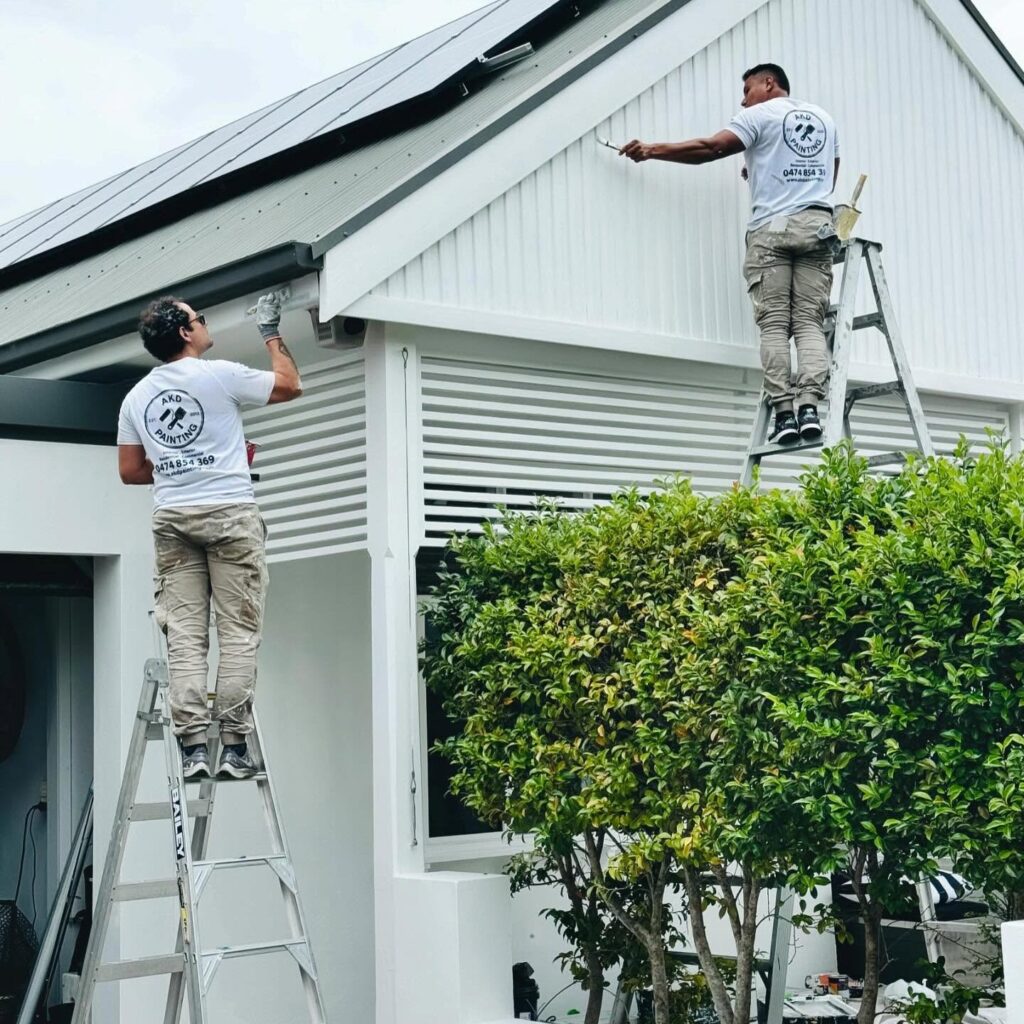 Professional Painting Service by AKD Painting